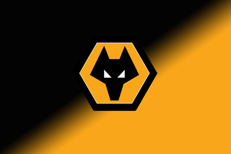 Wolf Head Logo — Yellow, Dramatic