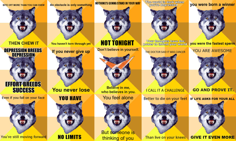 Wolf Head Meme