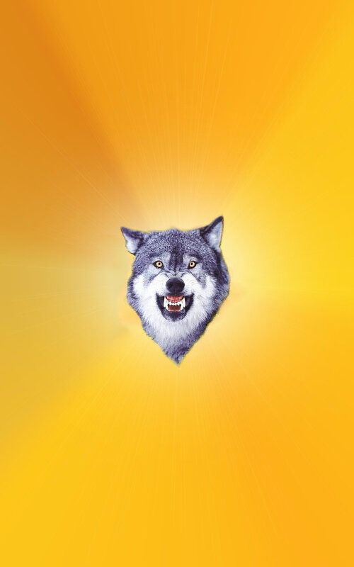 wolf head on yellow background