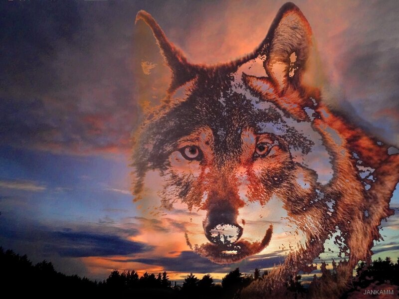 Wolf Head Overlay