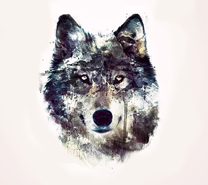 Wolf Head Portrait — Black, Intense