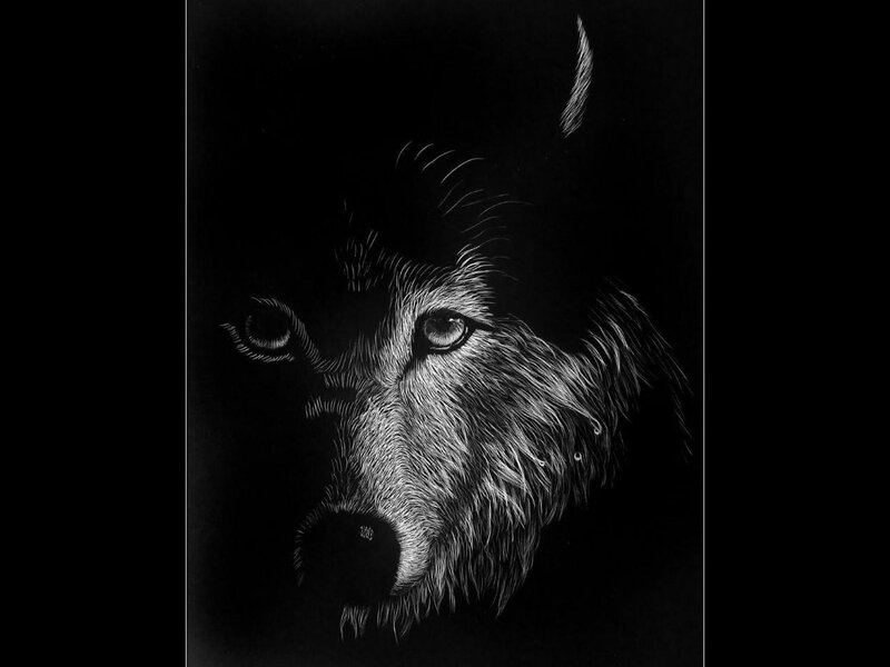 Wolf Head Portrait — Black