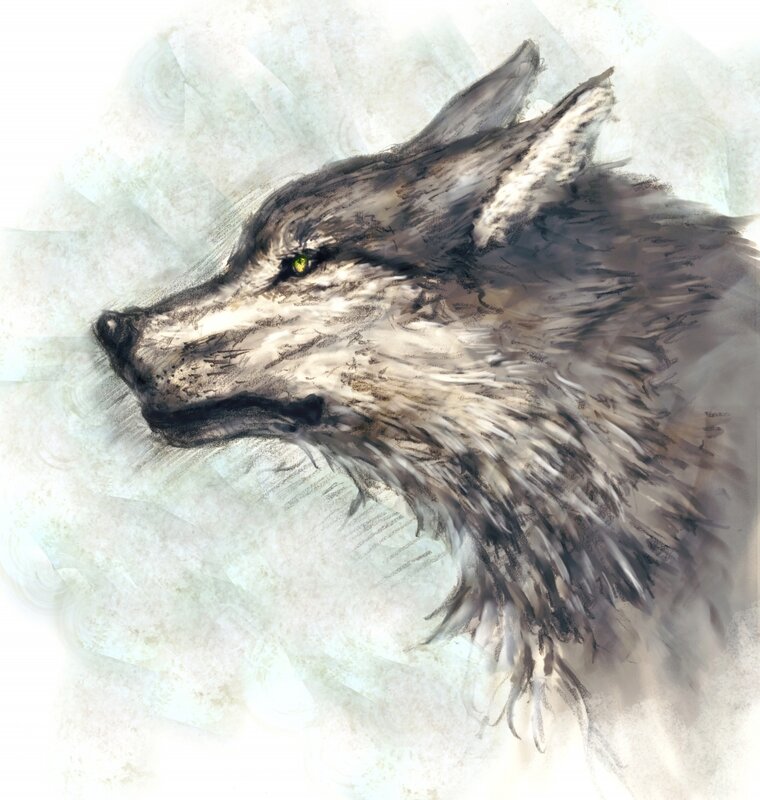 Wolf Head Portrait — Gray, Intense, Digital Art