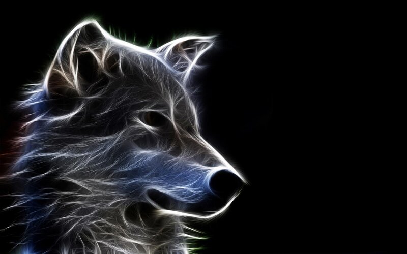 Wolf Head Profile — White