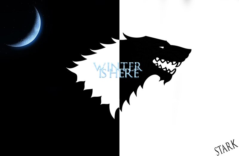 Wolf Head Silhouette — Black, Dramatic, Night