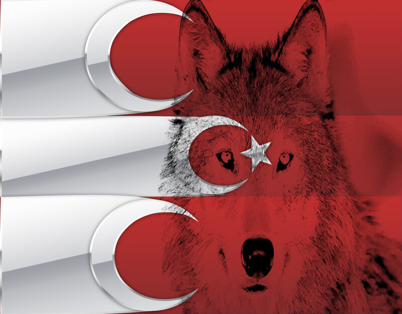 Wolf Head with Flag