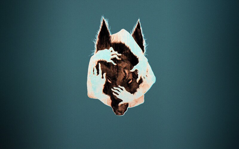 Wolf Head with Hands — Teal