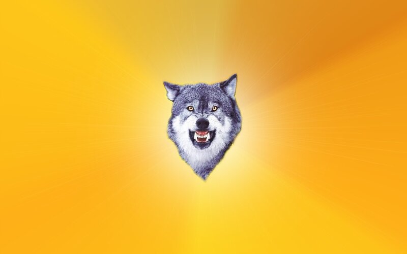 Wolf Head — Yellow