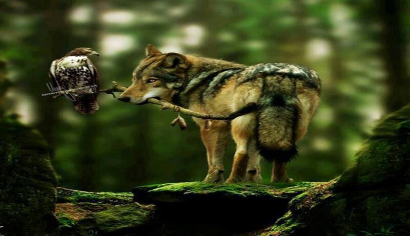 Wolf Holding Branch — Green