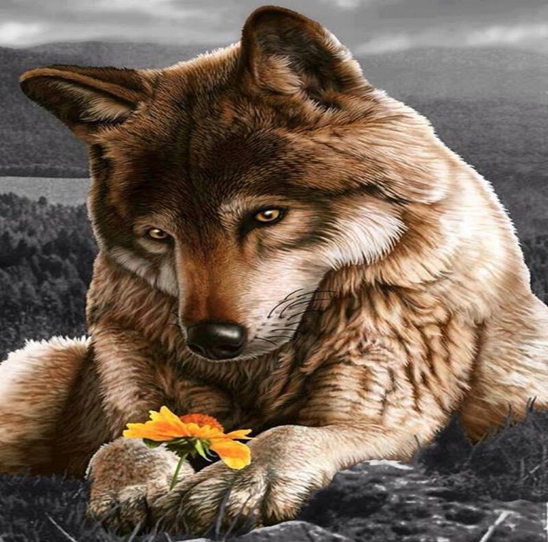 Wolf Holding Flower