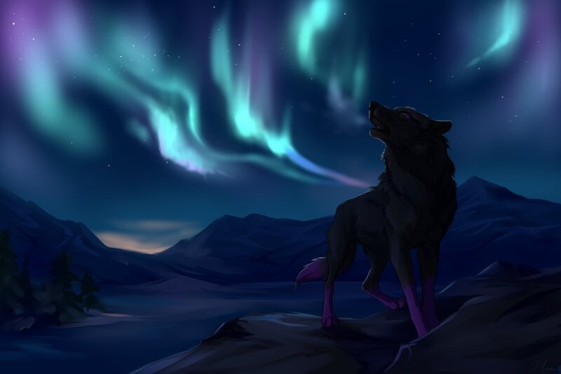 Wolf Howling at Aurora — Blue