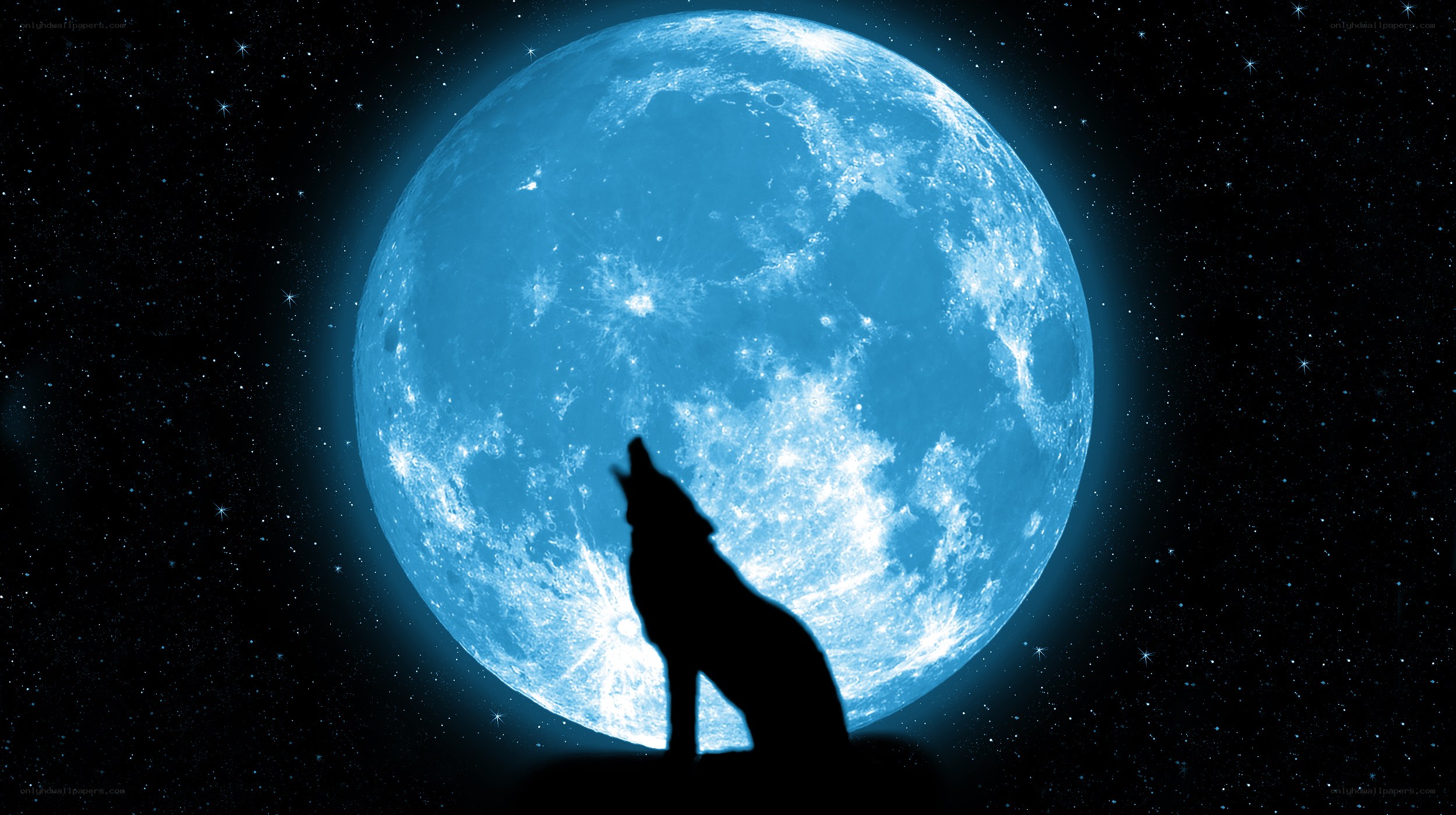 wolf howling at blue moon