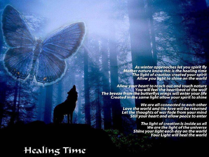 Wolf Howling at Butterfly