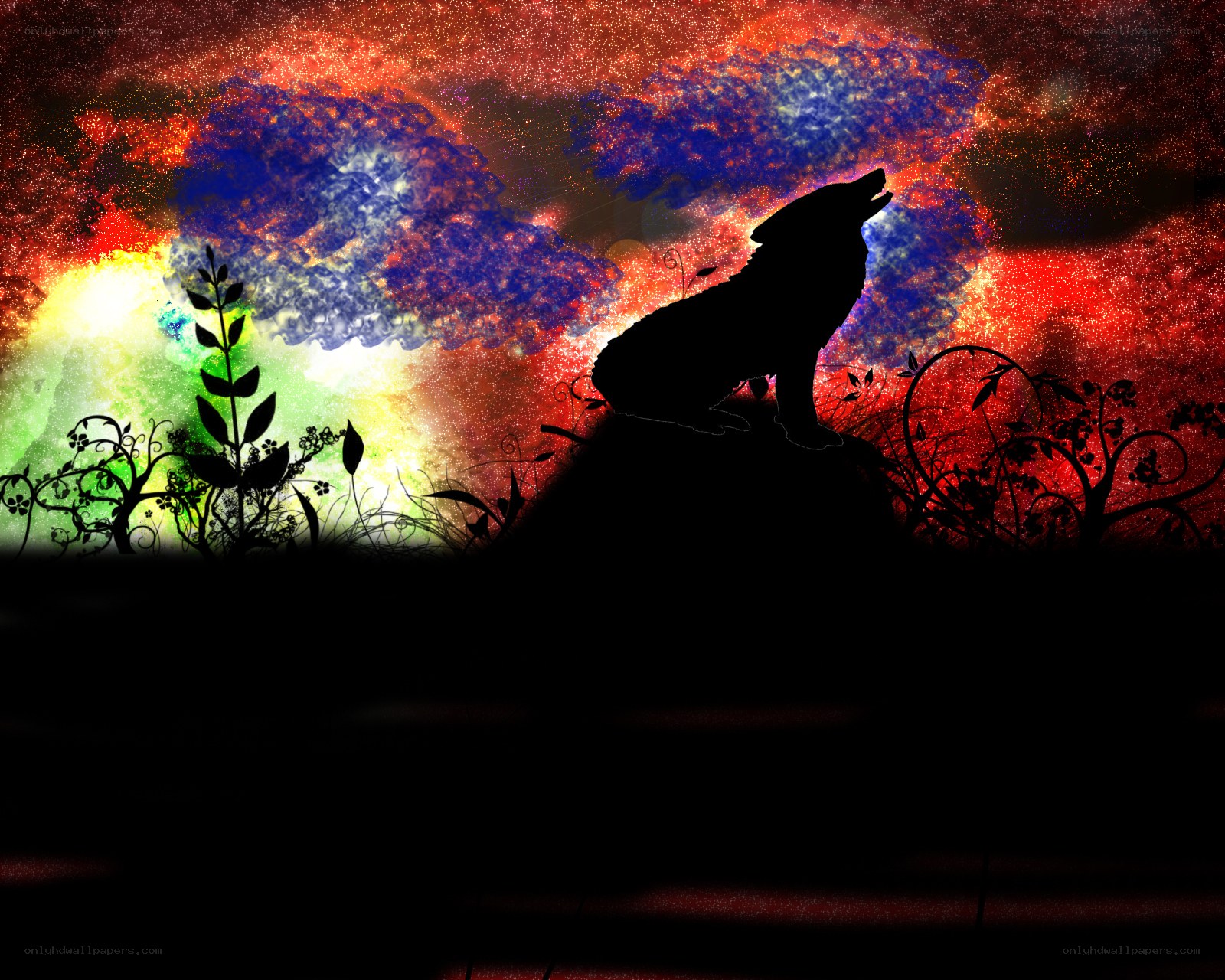 wolf howling at colorful sky
