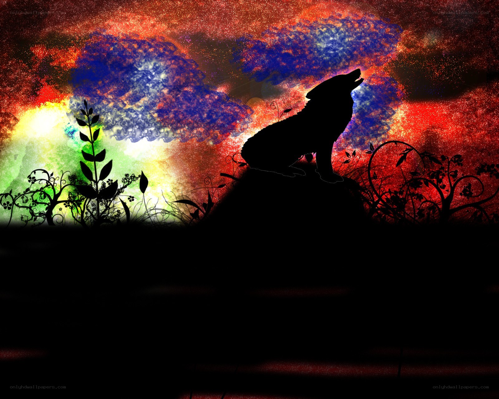 wolf howling at colorful sky