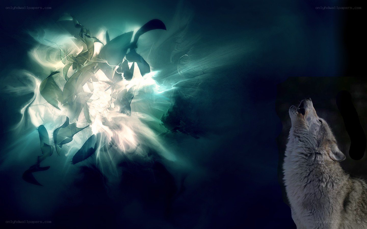 wolf howling at light