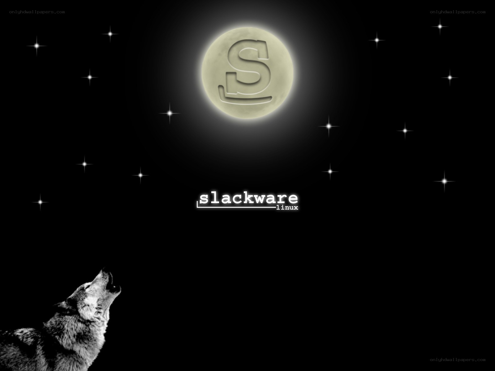 wolf howling at moon