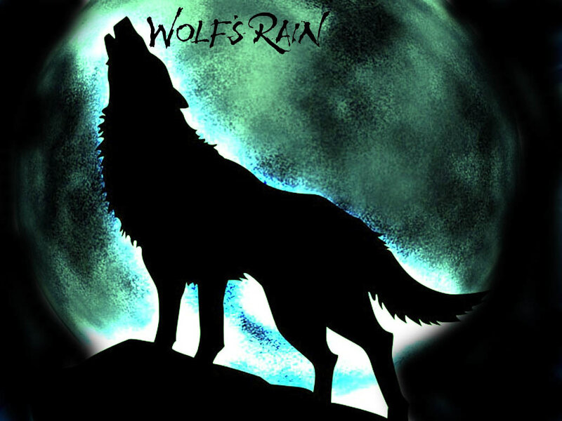 wolf howling at moon