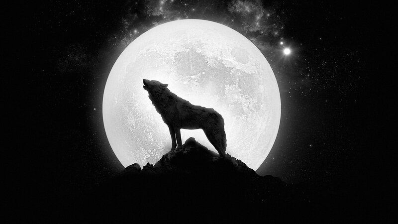 Wolf Howling at Moon — Black, Digital Art