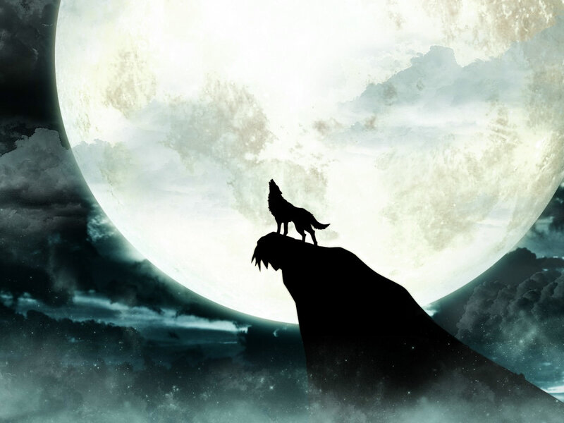 Wolf Howling at Moon — Black, Dramatic, Night, Digital Art, Cliff