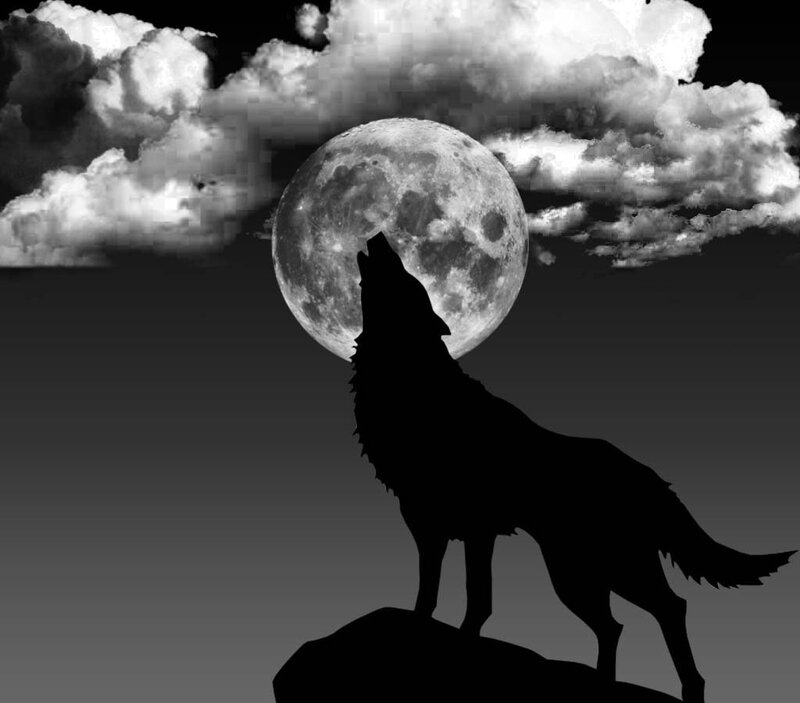 Wolf Howling at Moon — Black, Dramatic, Night, Digital Art, Clouds, Rock