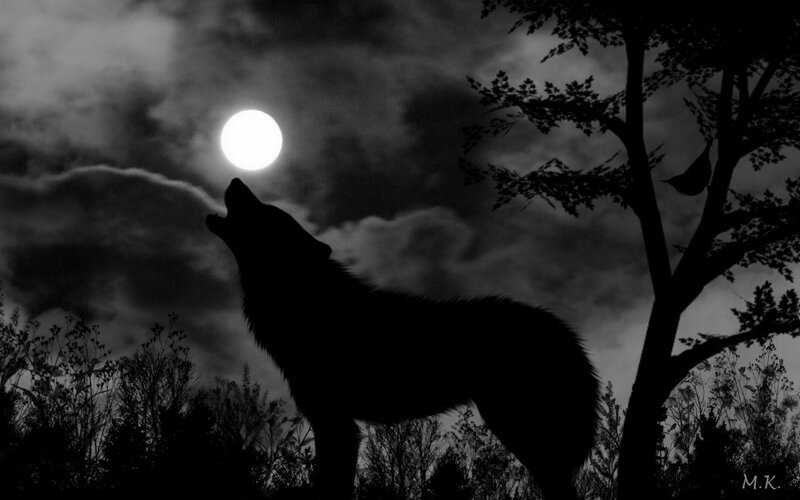 Wolf Howling at Moon — Black, Dramatic, Night, Digital Art, Clouds, Tree