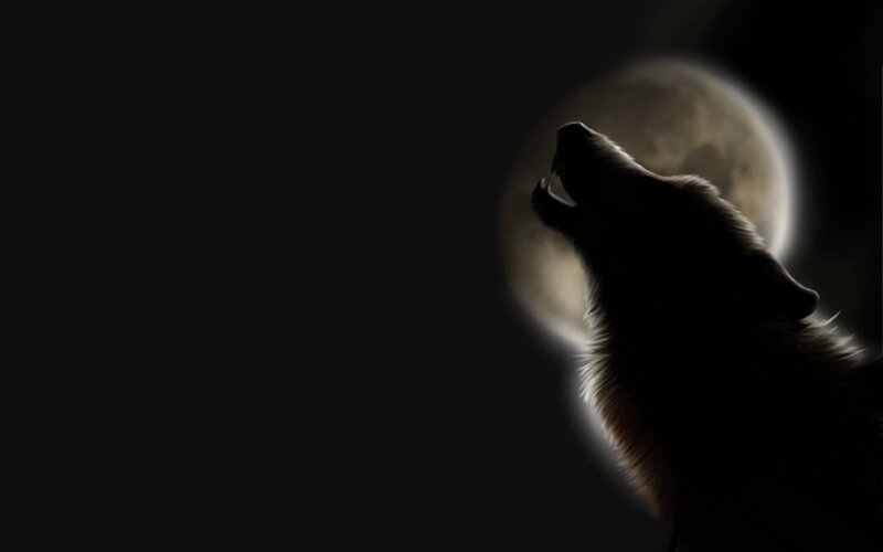 Wolf Howling at Moon — Black, Dramatic, Night, Digital Art, Gray