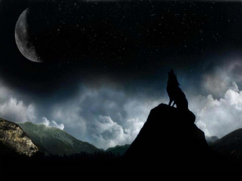 Wolf Howling at Moon — Black, Dramatic, Night, Digital Art, Mountains