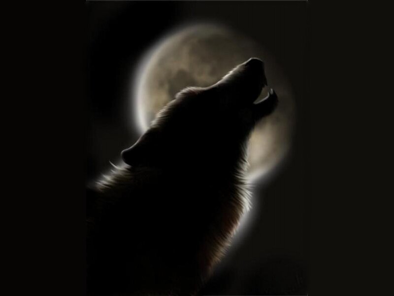 Wolf Howling at Moon — Black, Dramatic, Night, Digital Art, Night Sky