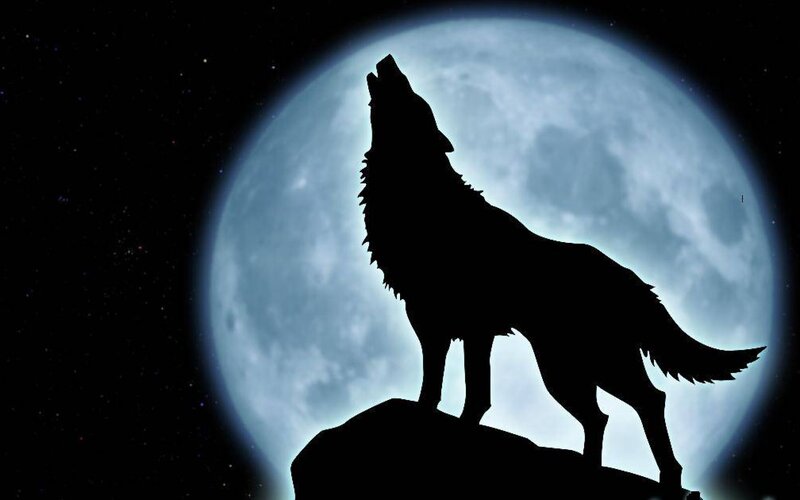 Wolf Howling at Moon — Black, Dramatic, Night, Digital Art, Rock, Night Sky