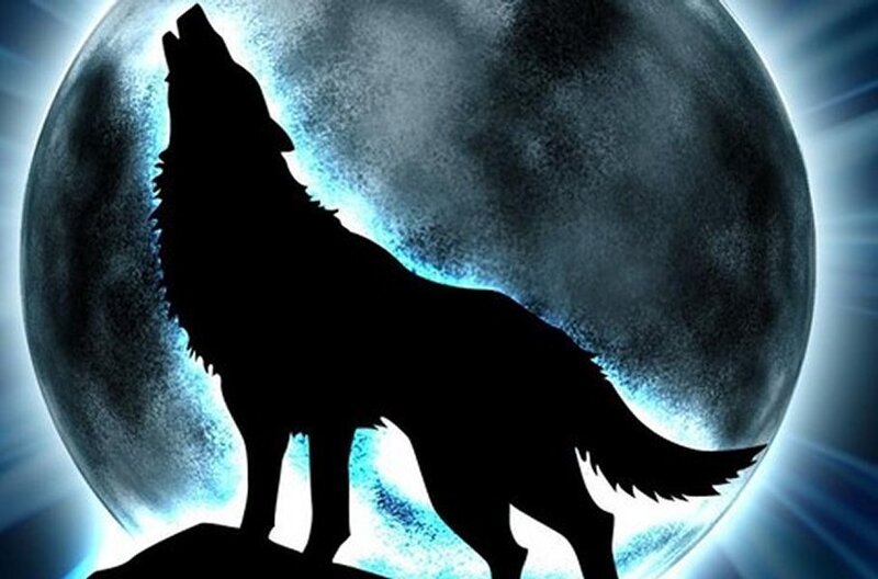 Wolf Howling at Moon — Black, Dramatic, Night, Digital Art, Silhouette