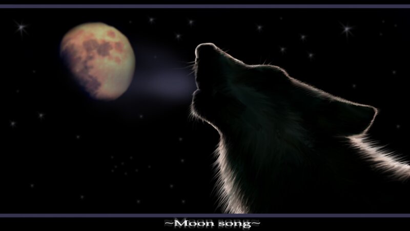 Wolf Howling at Moon — Black, Dramatic, Night, Digital Art, Stars, Text