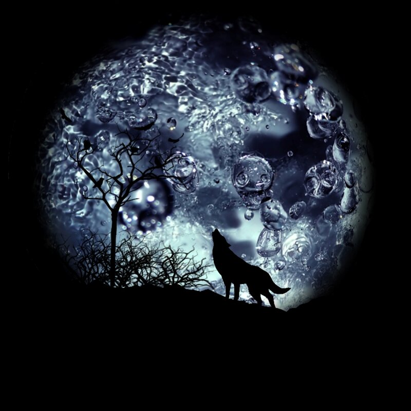 Wolf Howling at Moon — Black, Dramatic, Night, Digital Art, Tree, Birds
