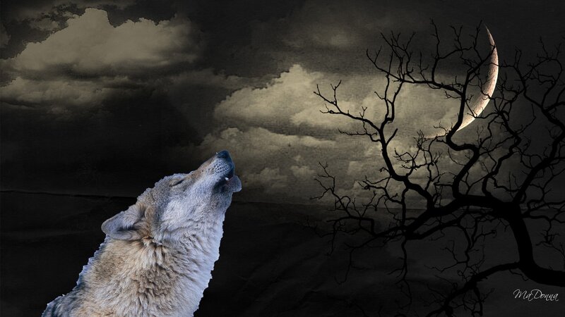 Wolf Howling at Moon — Black, Dramatic, Night, Digital Art, Tree