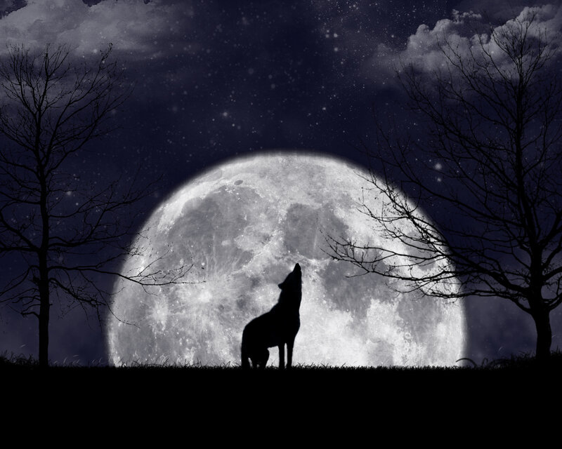 Wolf Howling at Moon — Black, Dramatic, Night, Digital Art, Trees