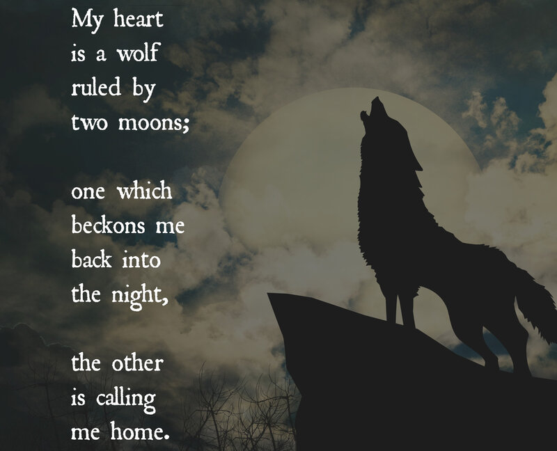 Wolf Howling at Moon — Black, Dramatic, Night, Illustration, Clouds
