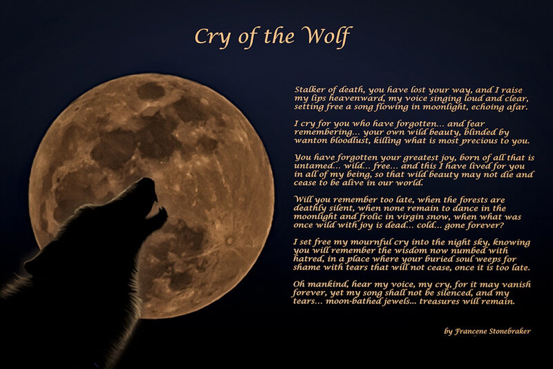 Wolf Howling at Moon — Black, Dramatic, Night, Illustration, Poem