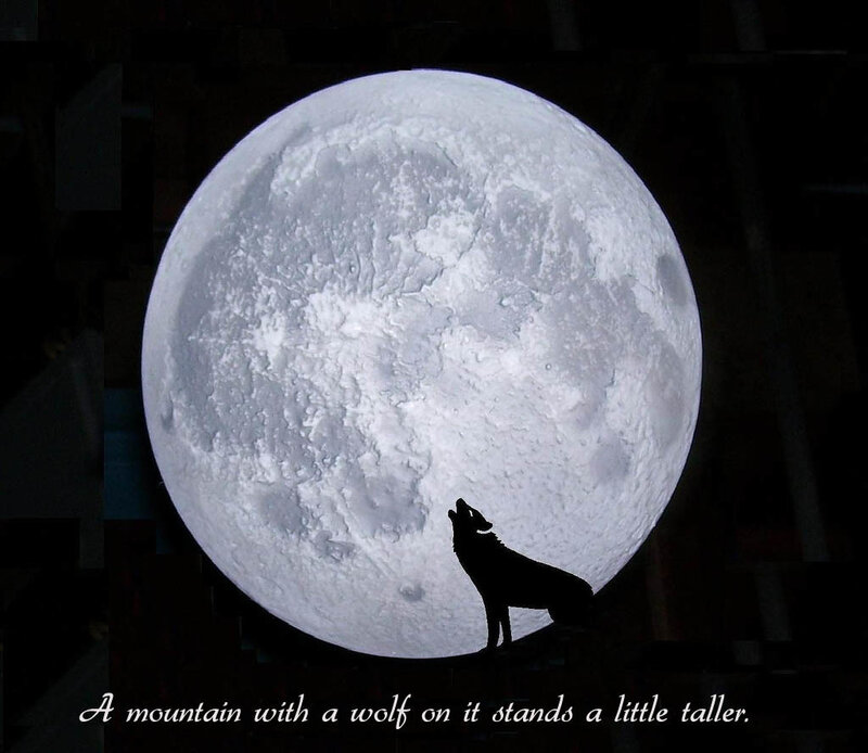 Wolf Howling at Moon — Black, Dramatic, Night, Illustration