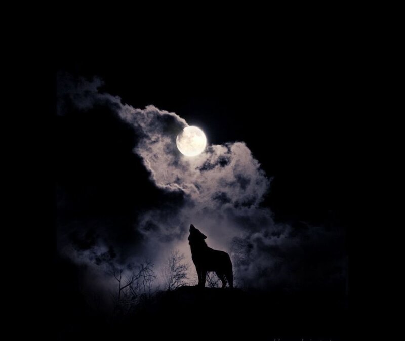 Wolf Howling at Moon — Black, Dramatic, Night, Photograph, Clouds