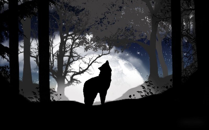 Wolf Howling at Moon — Black, Dramatic