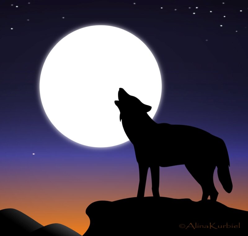 Wolf Howling at Moon — Black, Serene