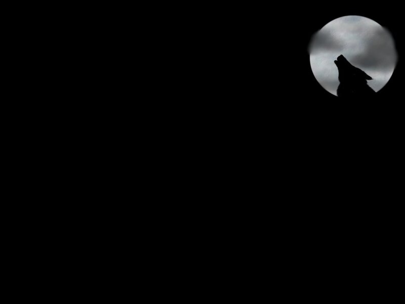 Wolf Howling at Moon — Black