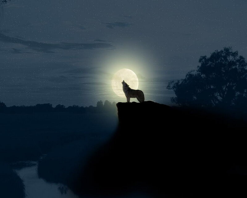 Wolf Howling at Moon — Blue, Dramatic, Night, Digital Art, Cliff