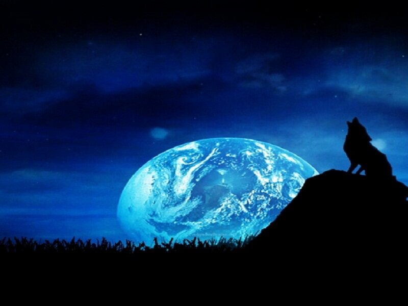 Wolf Howling at Moon — Blue, Dramatic, Night, Digital Art, Earth