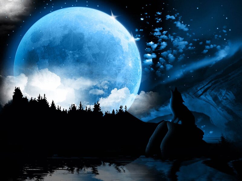 Wolf Howling at Moon — Blue, Dramatic, Night, Digital Art, Forest, Clouds