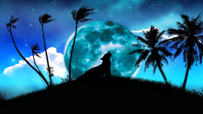 Wolf Howling at Moon — Blue, Dramatic, Night, Digital Art, Palm Trees, Clouds