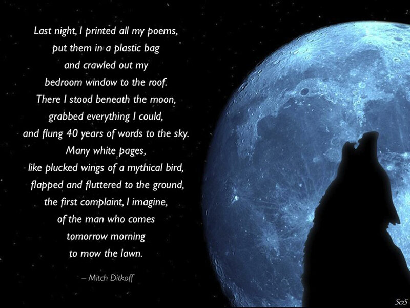 Wolf Howling at Moon — Blue, Dramatic, Night, Digital Art, Poem
