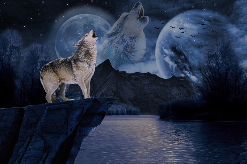Wolf Howling at Moon — Blue, Dramatic, Night, Digital Art, River, Mountain