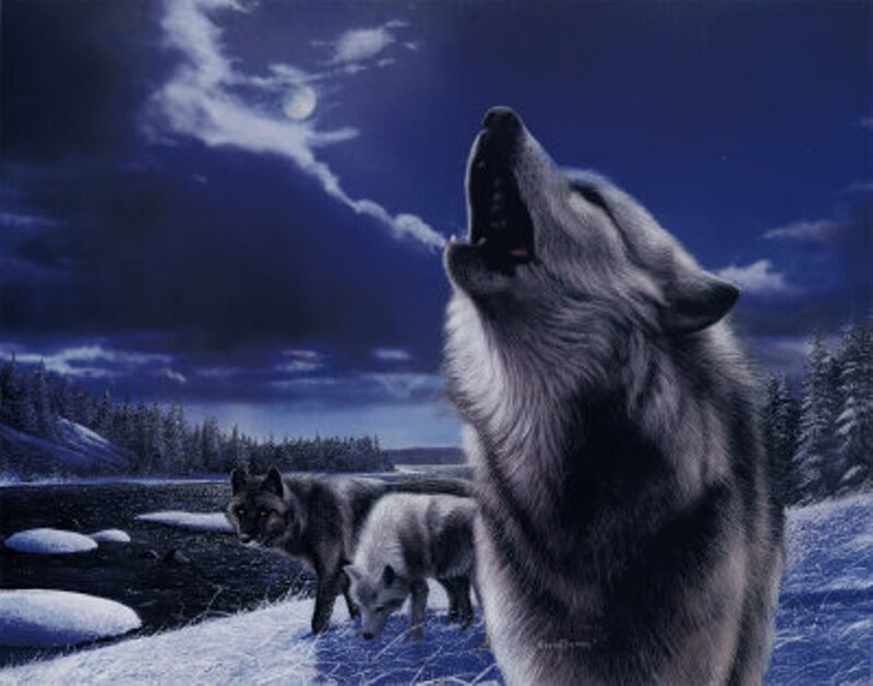 Wolf Howling at Moon — Blue, Dramatic, Night, Digital Art, River