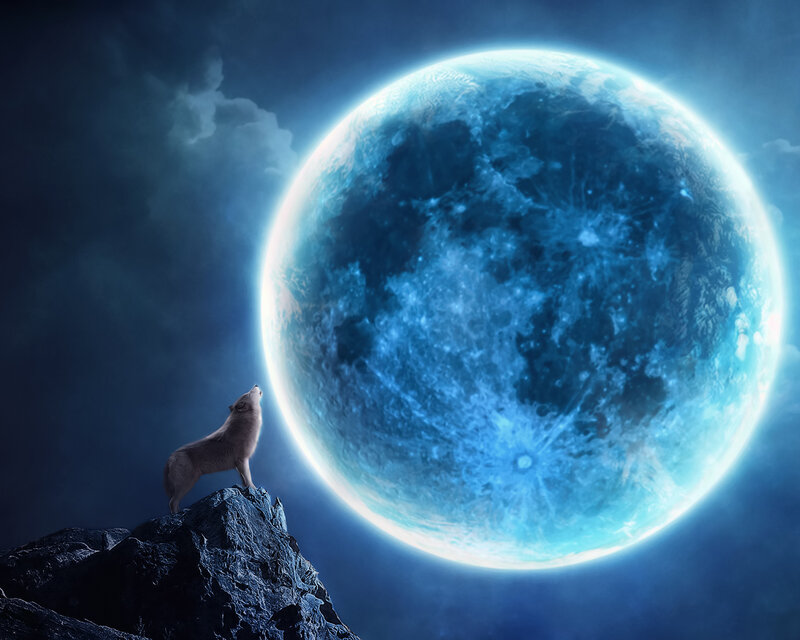 Wolf Howling at Moon — Blue, Dramatic, Night, Digital Art, Rock, Clouds